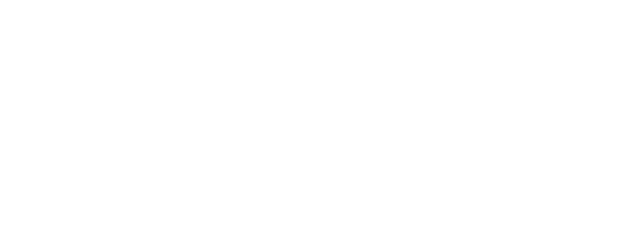 Plansee Group компаниясының логотипі